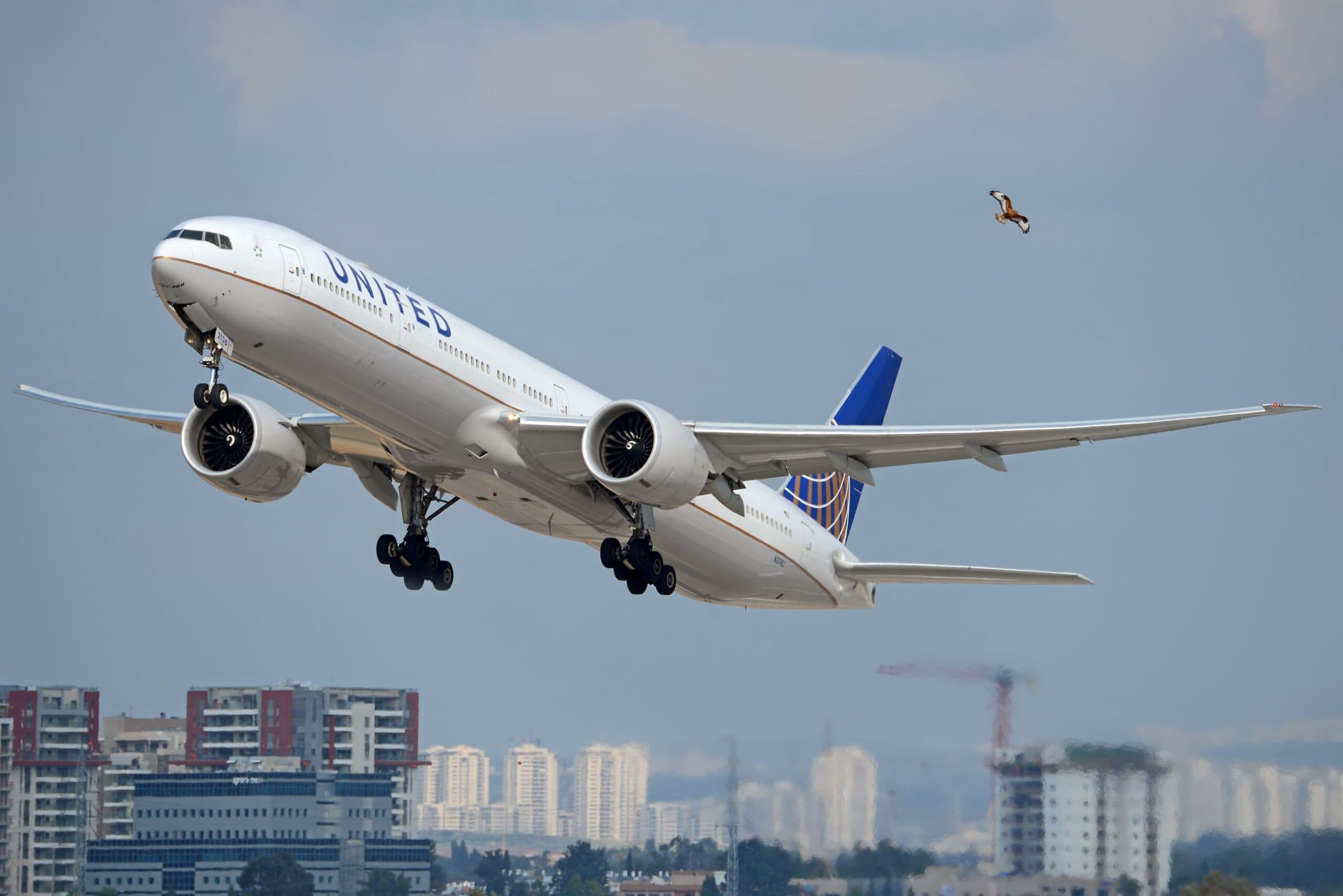 United Airlines Operates First Widebody Flight With Free Starlink Internet