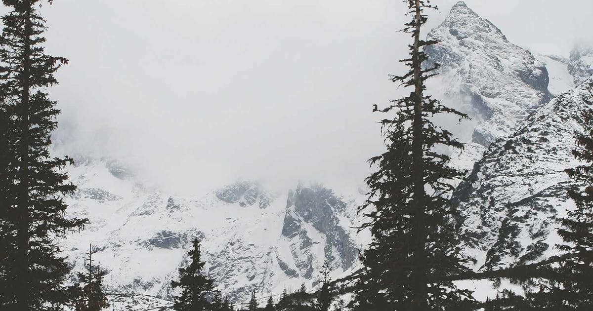 The Healing Power of a Solo Wellness Retreat