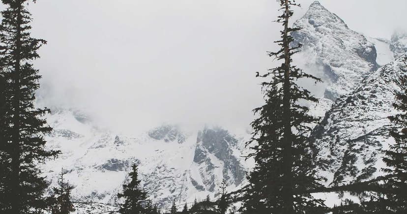 The Healing Power of a Solo Wellness Retreat